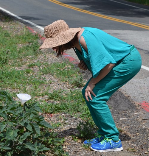 DSC_0261 MichFleurRED