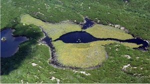 Advance euthophication of a lake