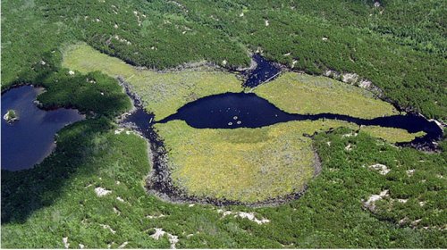 Advance euthophication of a lake - photo by ELA