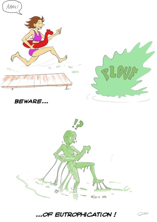 Beware of eutrophication!