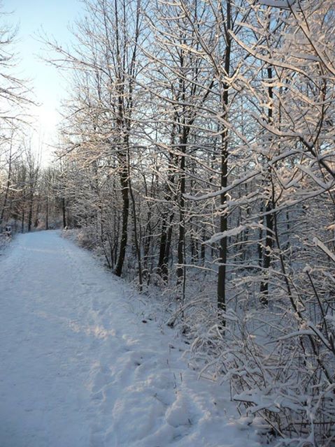 15697619_1406814439330872_4403718448717196841_n